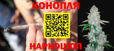 гидропоника Гусев