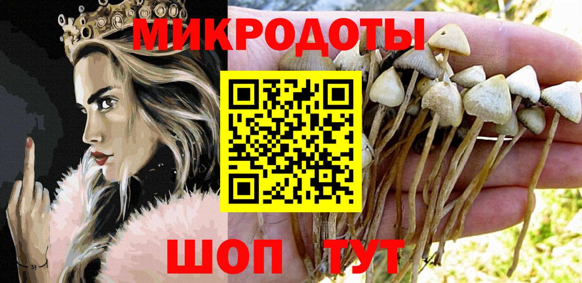 Псилоцибиновые грибы Cubensis Минеральные Воды