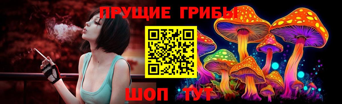 Псилоцибиновые грибы прущие грибы  Вход с VPN  Минеральные Воды 